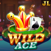 Wild Ace okgames app apk slot